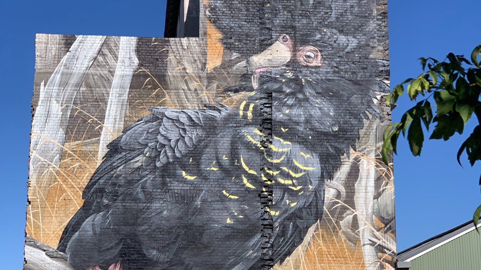 Black Cockatoo flour mill mural