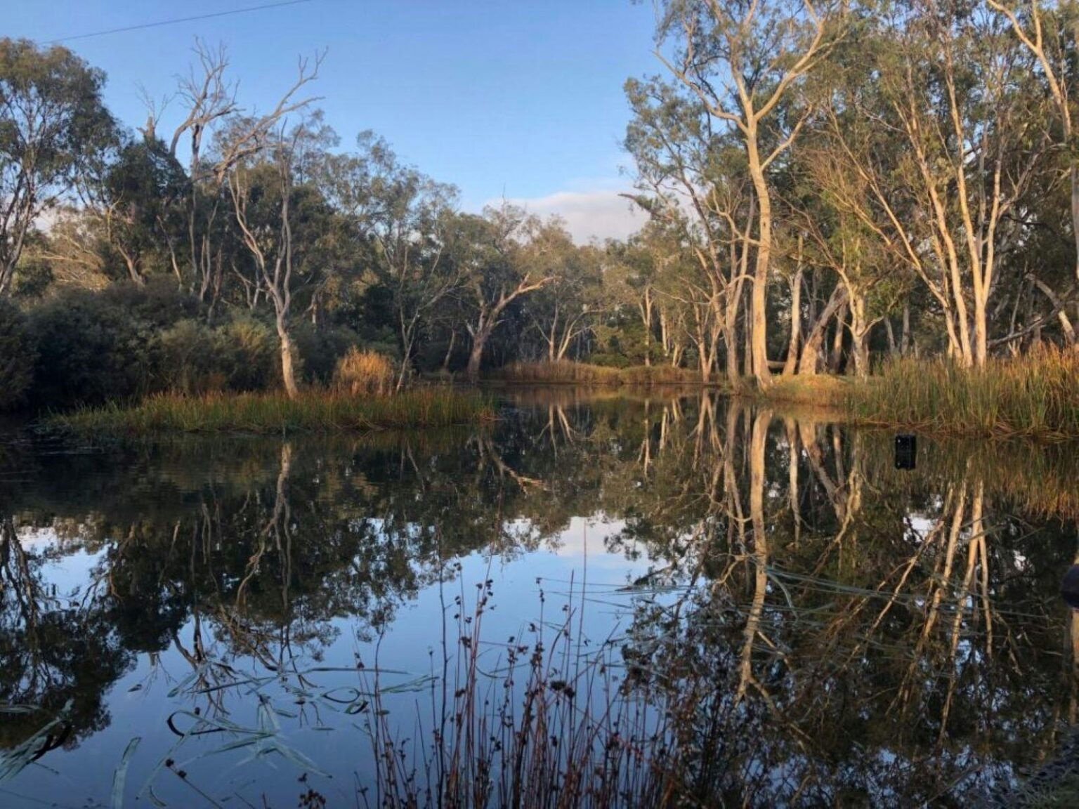 Lake in the foreground with vans