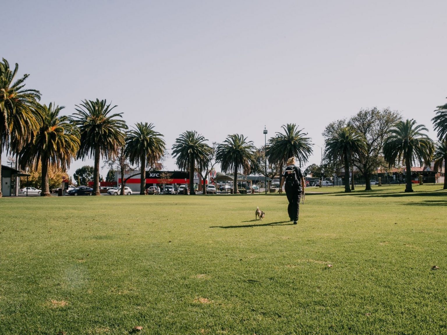 Photo of may park Horsham. Image includes a woman walking a dog