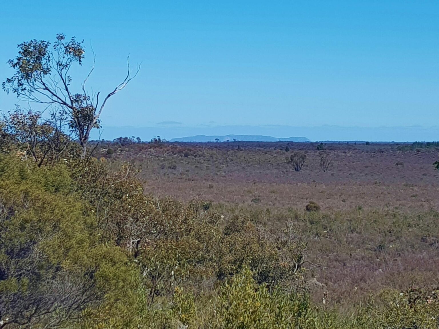 View from Pomponderoo Lookout across Little Desert NP towards Mt Arapiles.