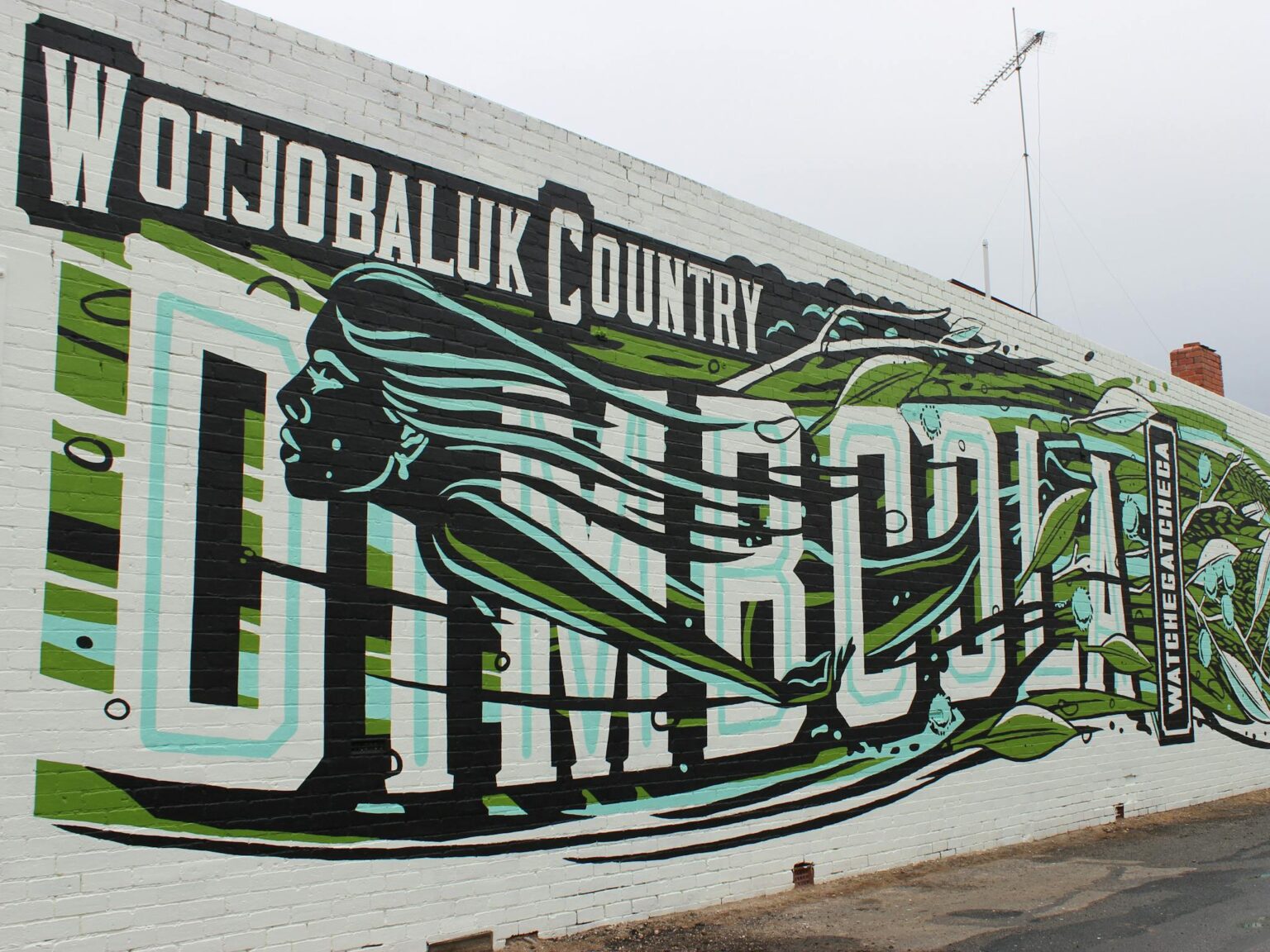 Wotjobaluk Country inspired artwork along brick wall