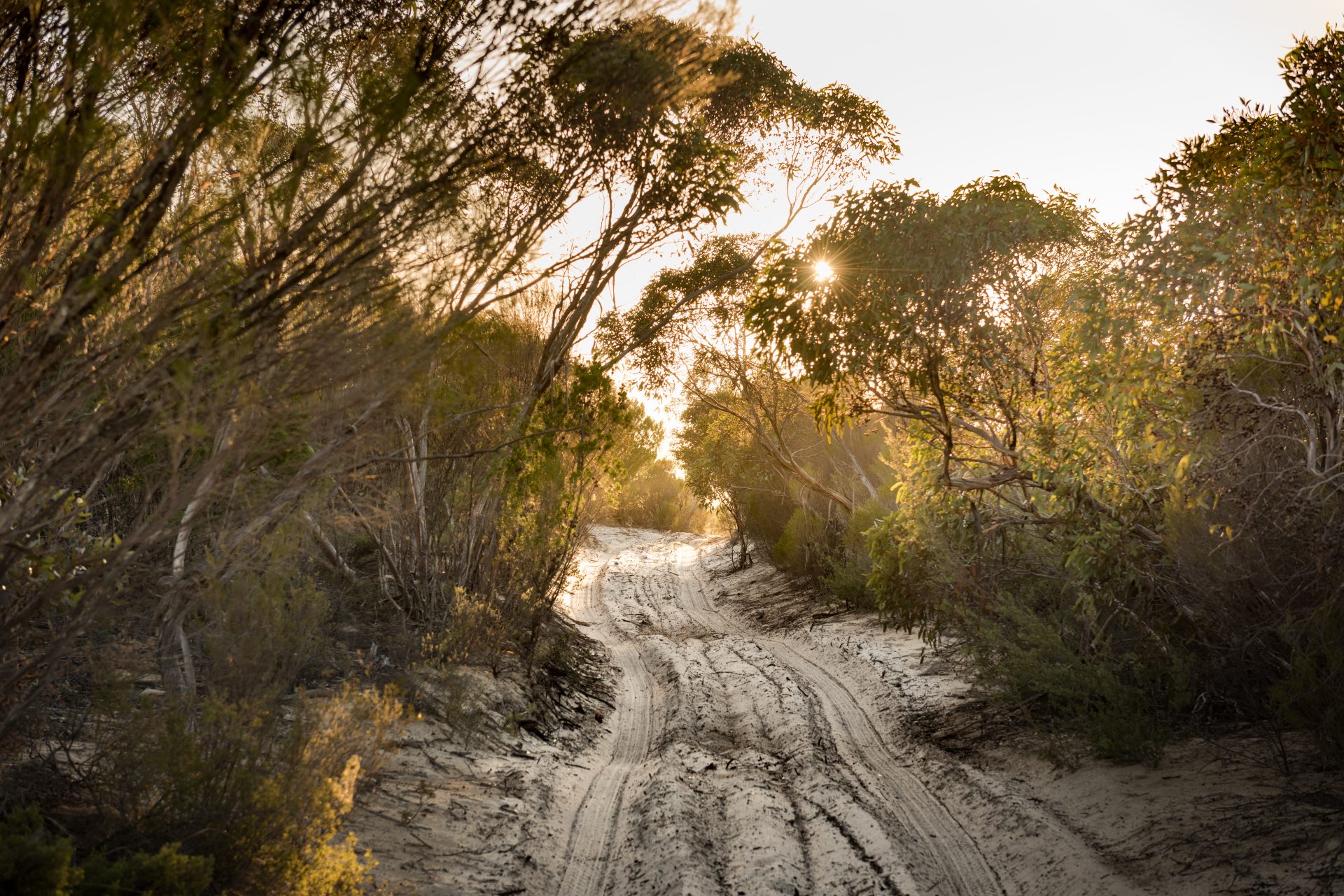 4WD Little Desert 1