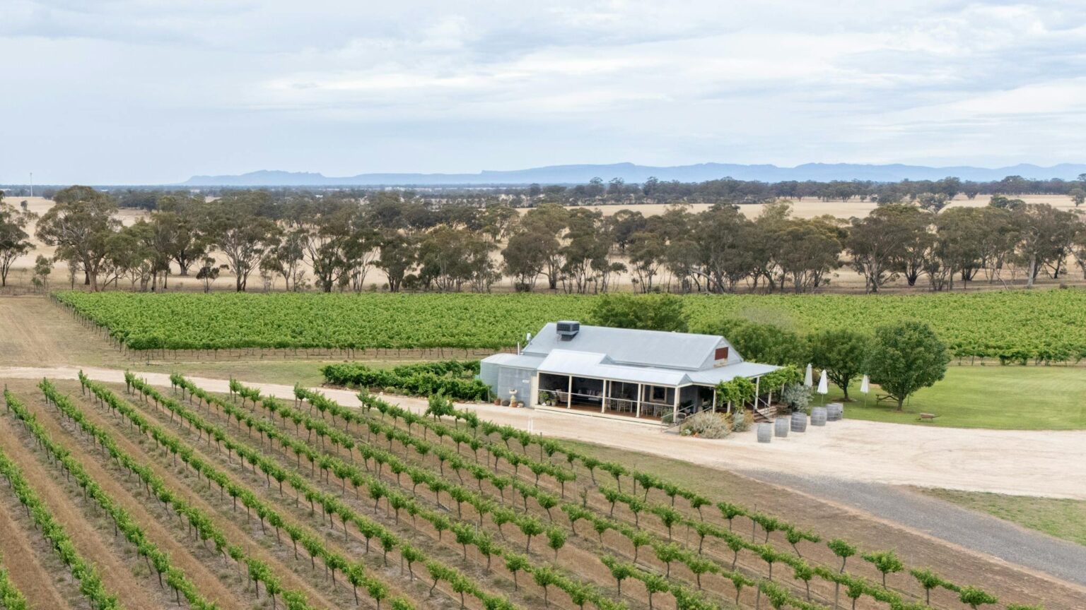 Aerial View of a winery and cellar door building