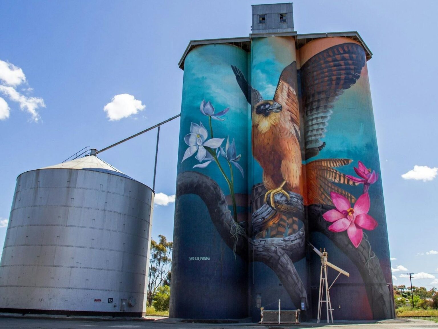 Kaniva Silo Art