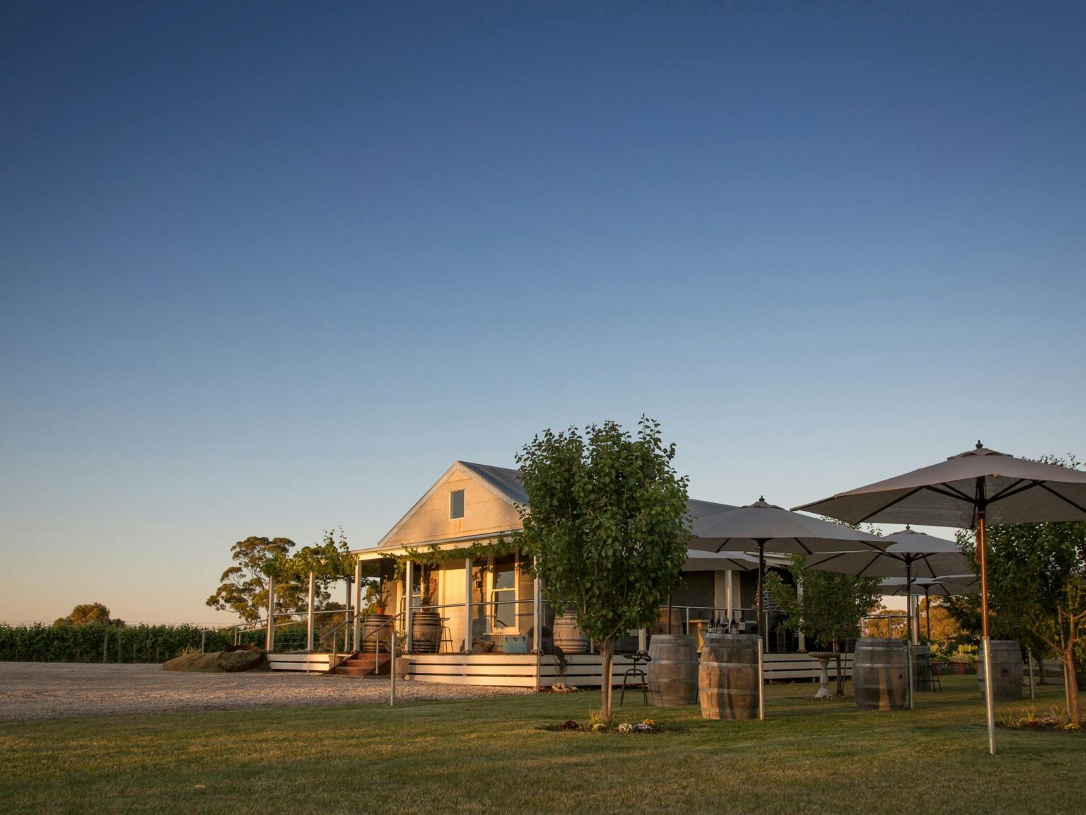 Norton Estate Cellar Door