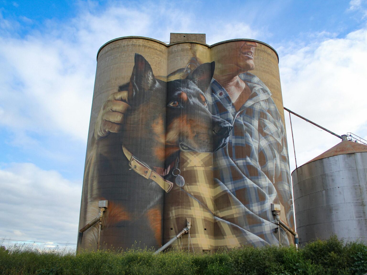 Photo of silo at Nulawil with a kelpie and his owner