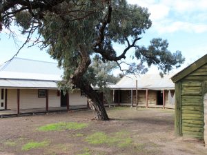 Albacutya homestead courtyard with three outbuildings and central gum tree.