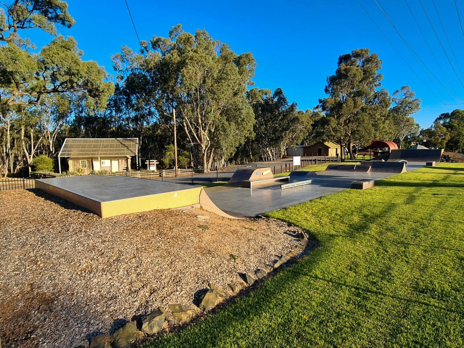 Skatepark with lawn surrounding and larger trees in background