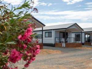 holiday cabins with pink native flowers in foreground
