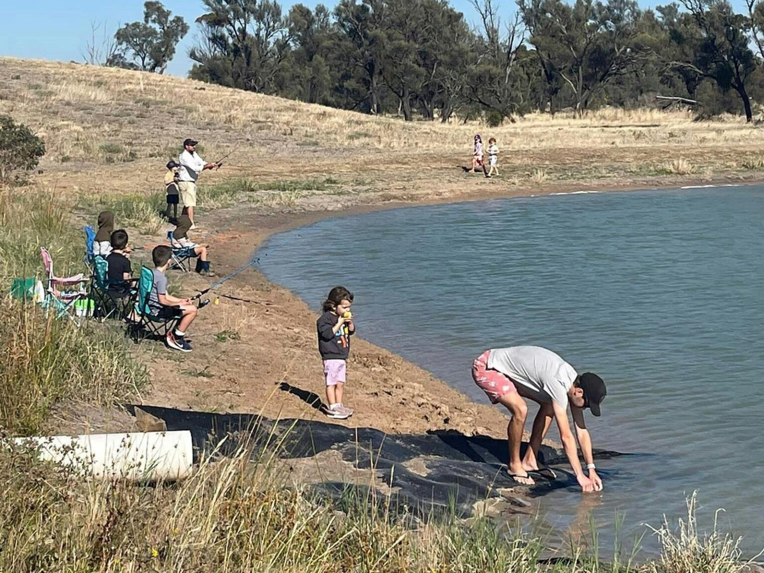 Wetlands Dam