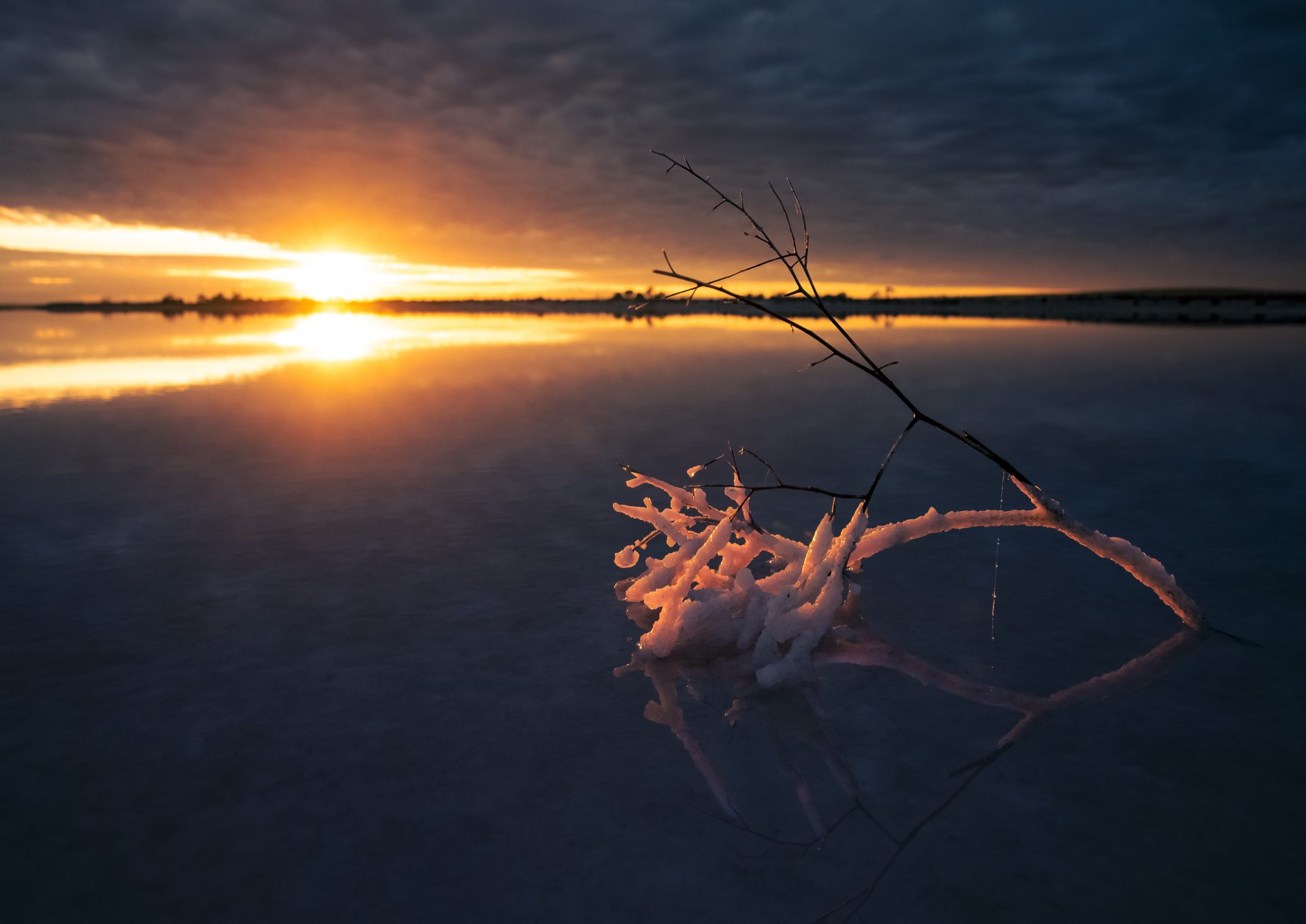 Lake Tyrrell