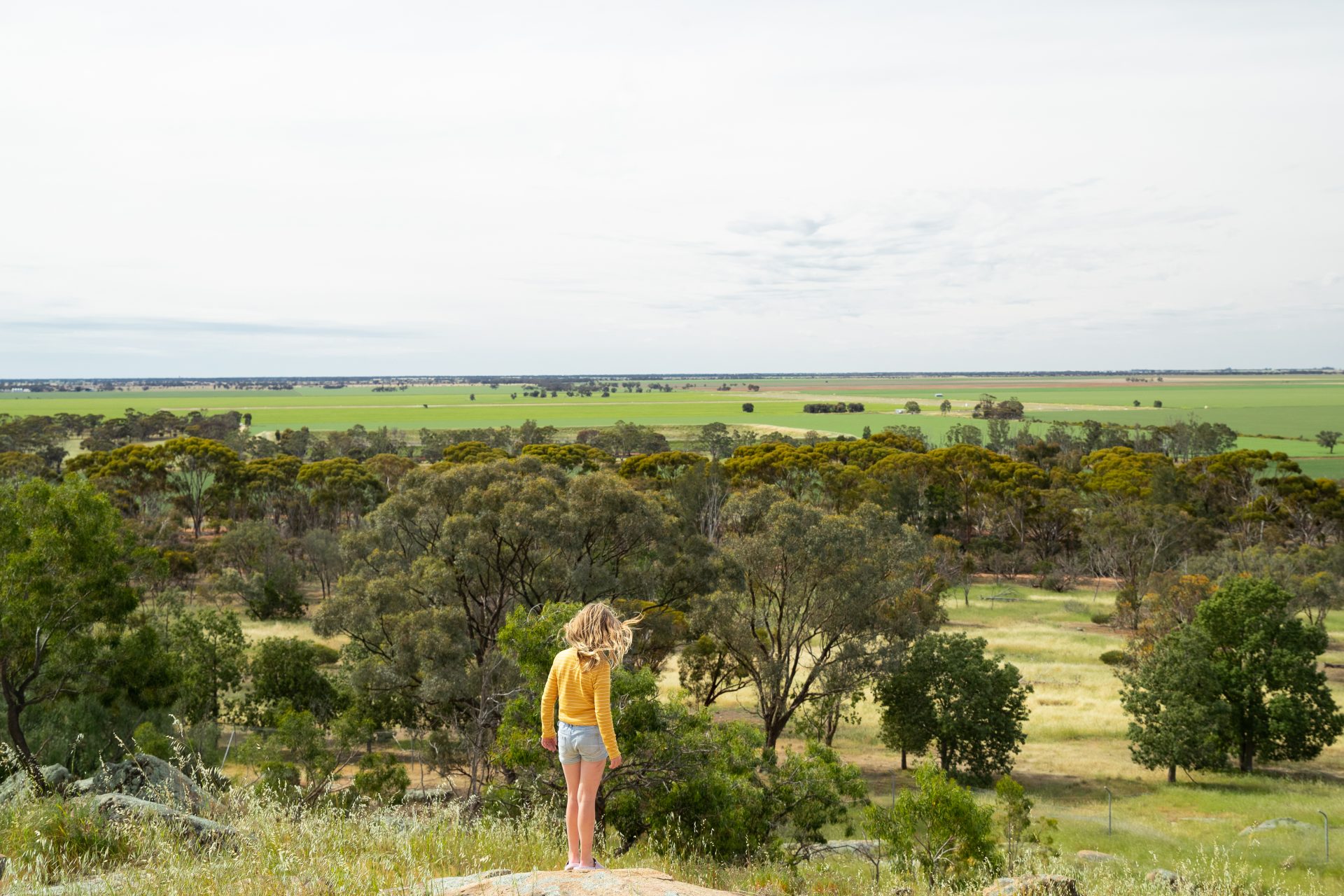 Mt Wycheproof Area Landscape 05