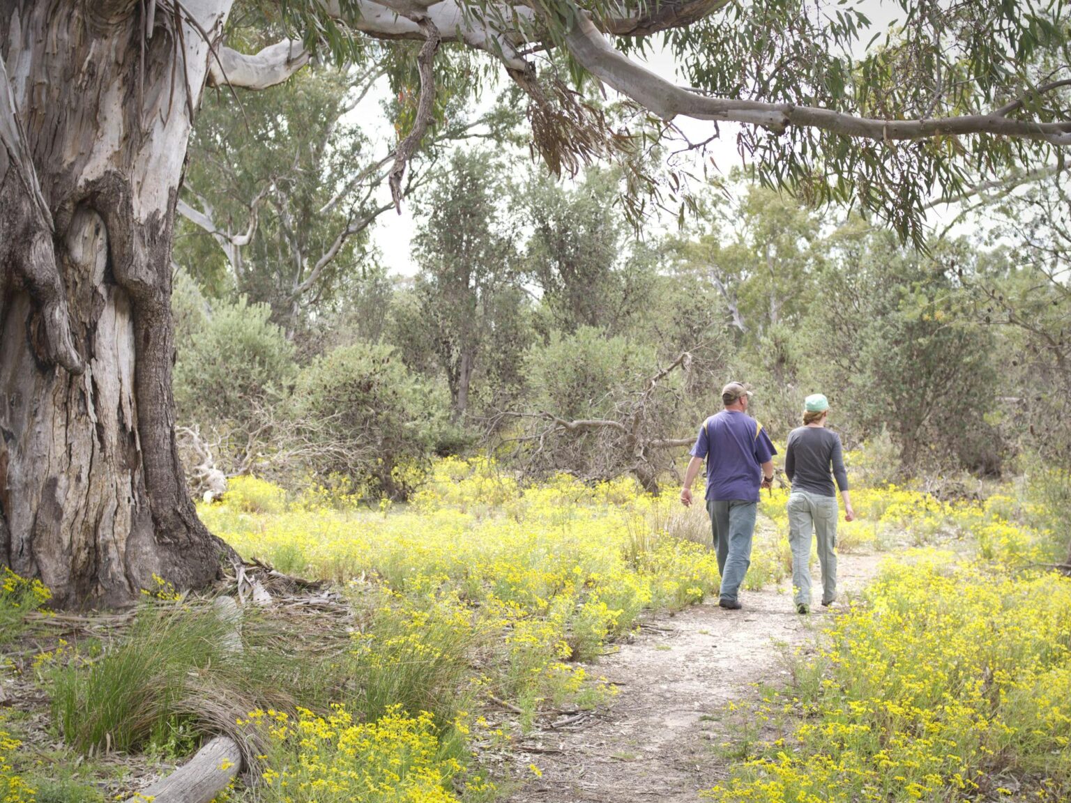 Little Desert National Park