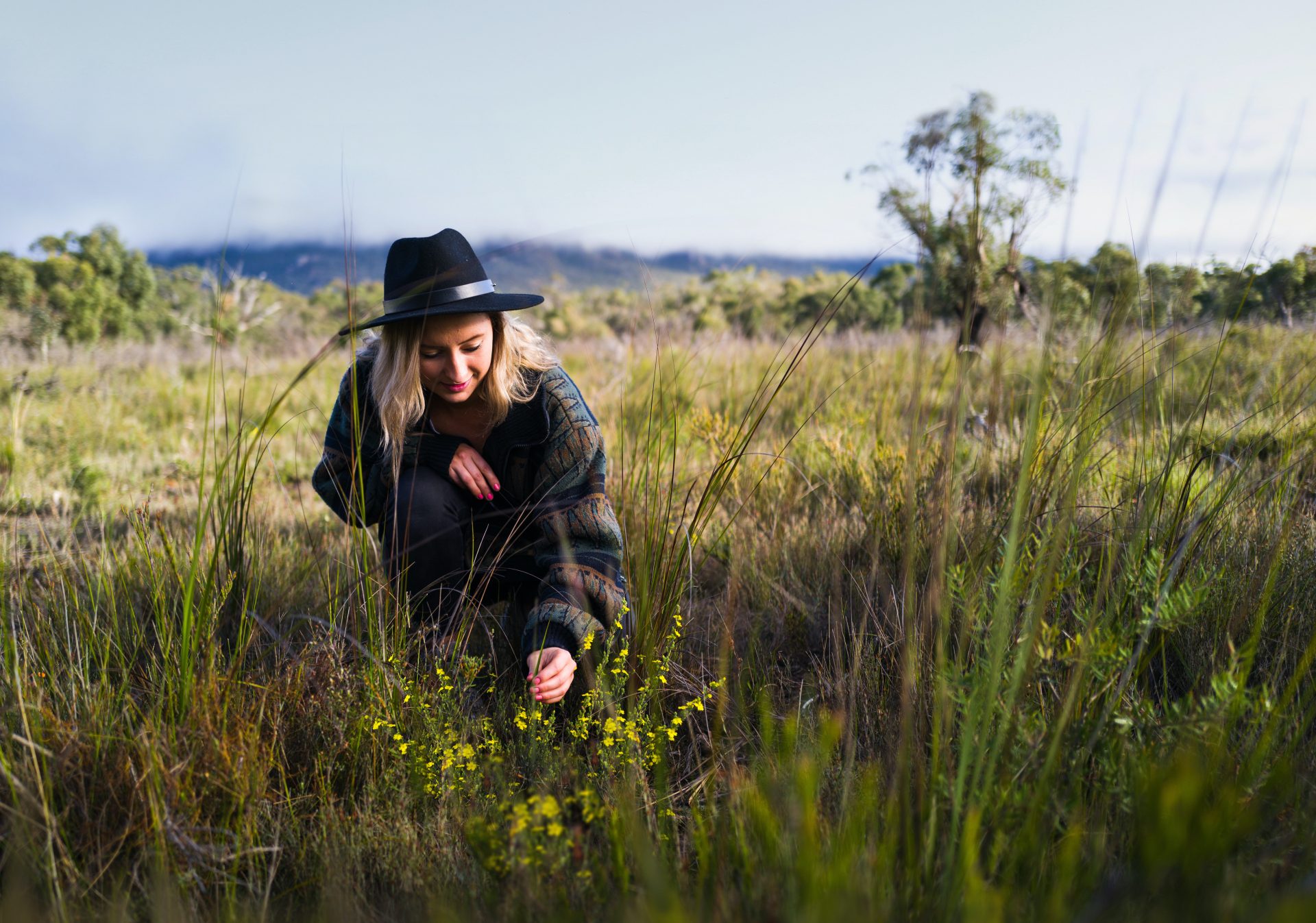 Wildflowers