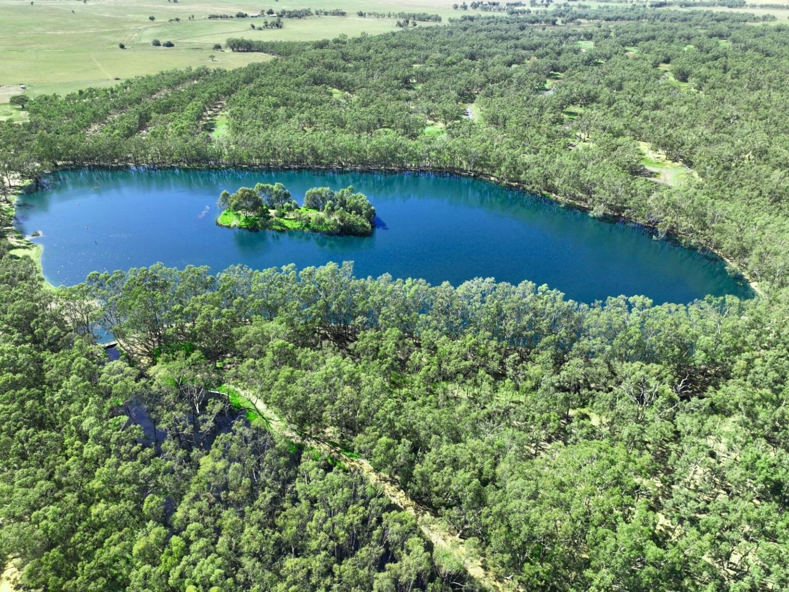 blue water amongst thick trees