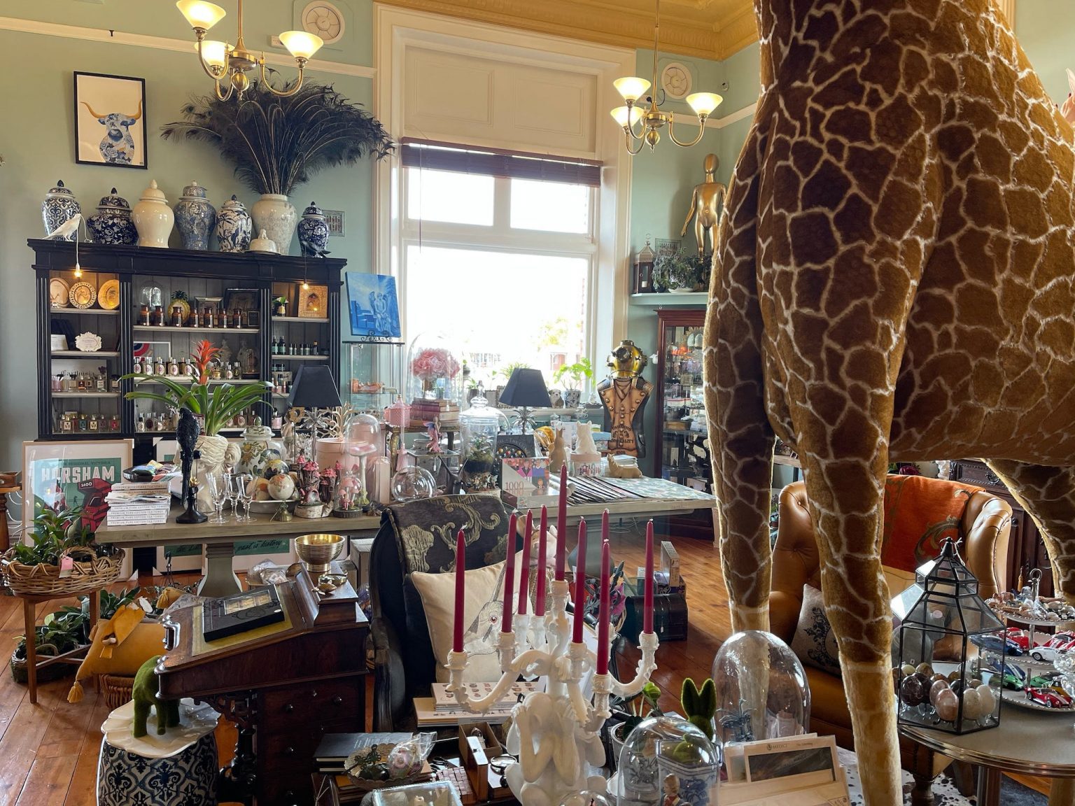 3.7 metre giraffe stands in the middle of the gift shop.