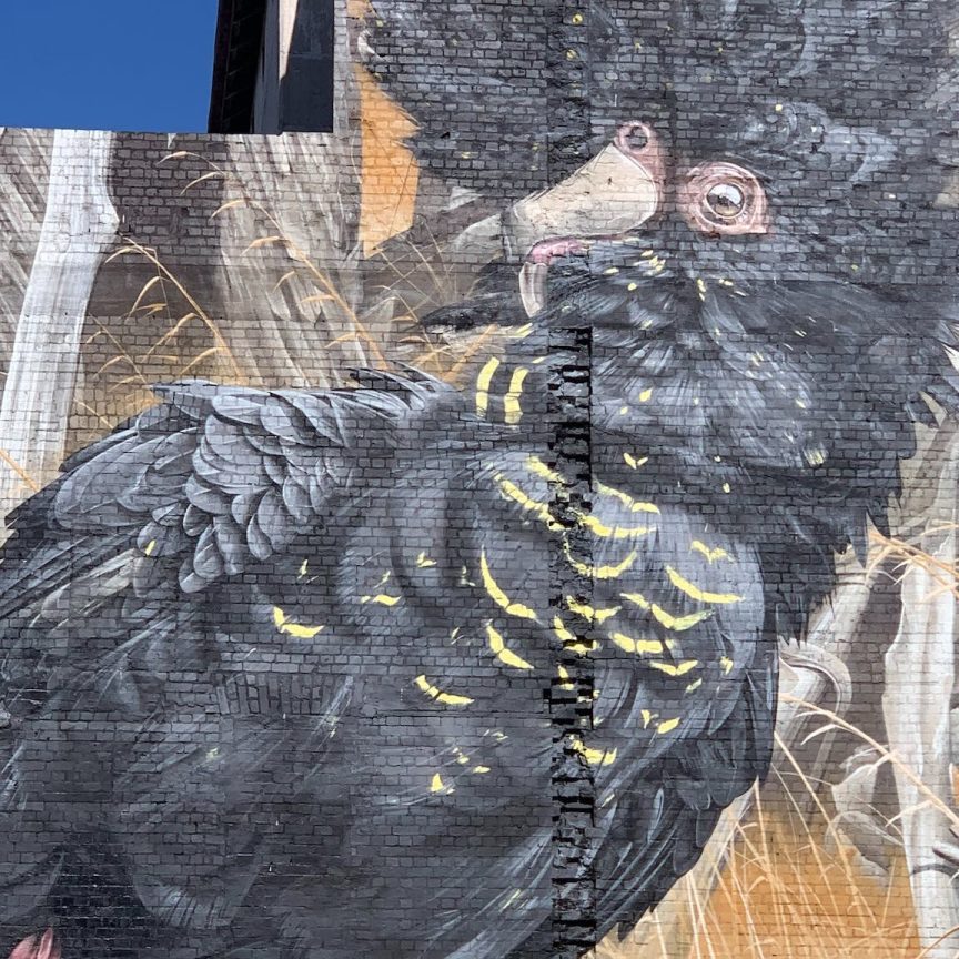 Black Cockatoo flour mill mural