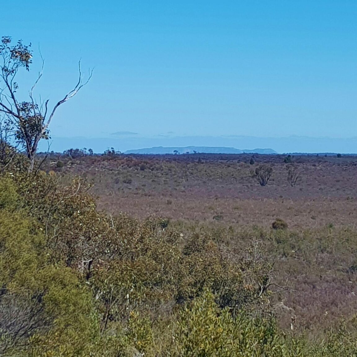 View from Pomponderoo Lookout across Little Desert NP towards Mt Arapiles.