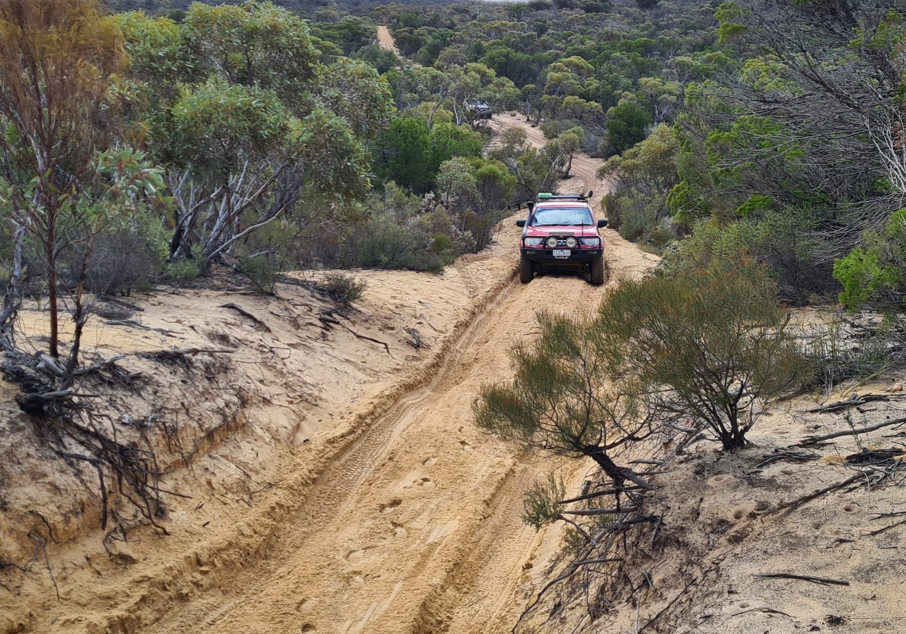 4WD On Track2