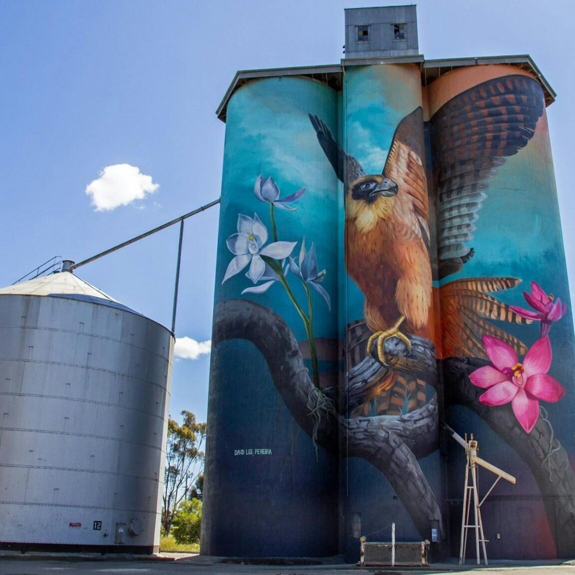 Kaniva Silo Art