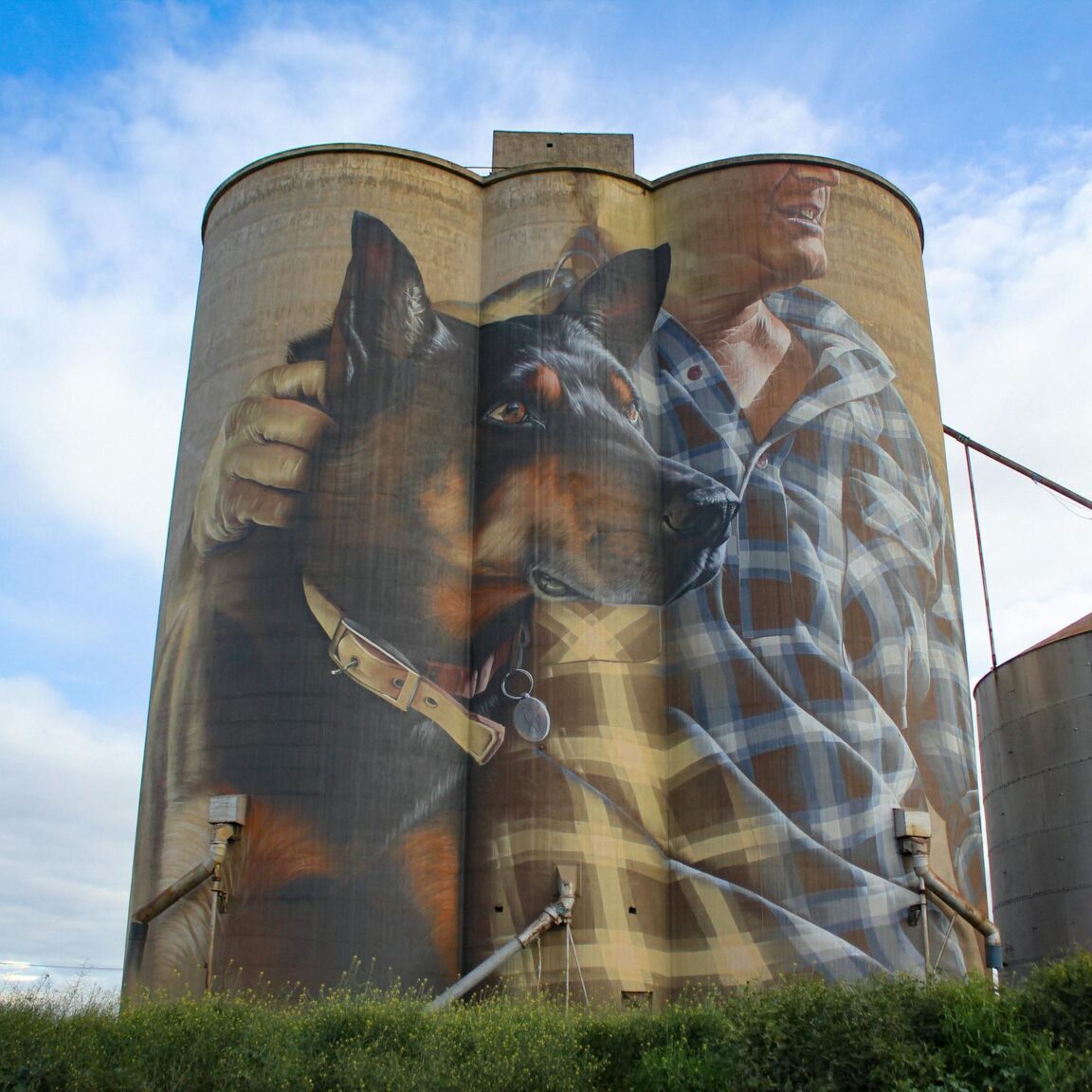 Photo of silo at Nulawil with a kelpie and his owner