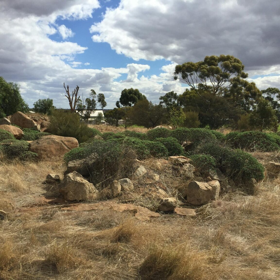 Between the Summit and the Wycheproof P12 College