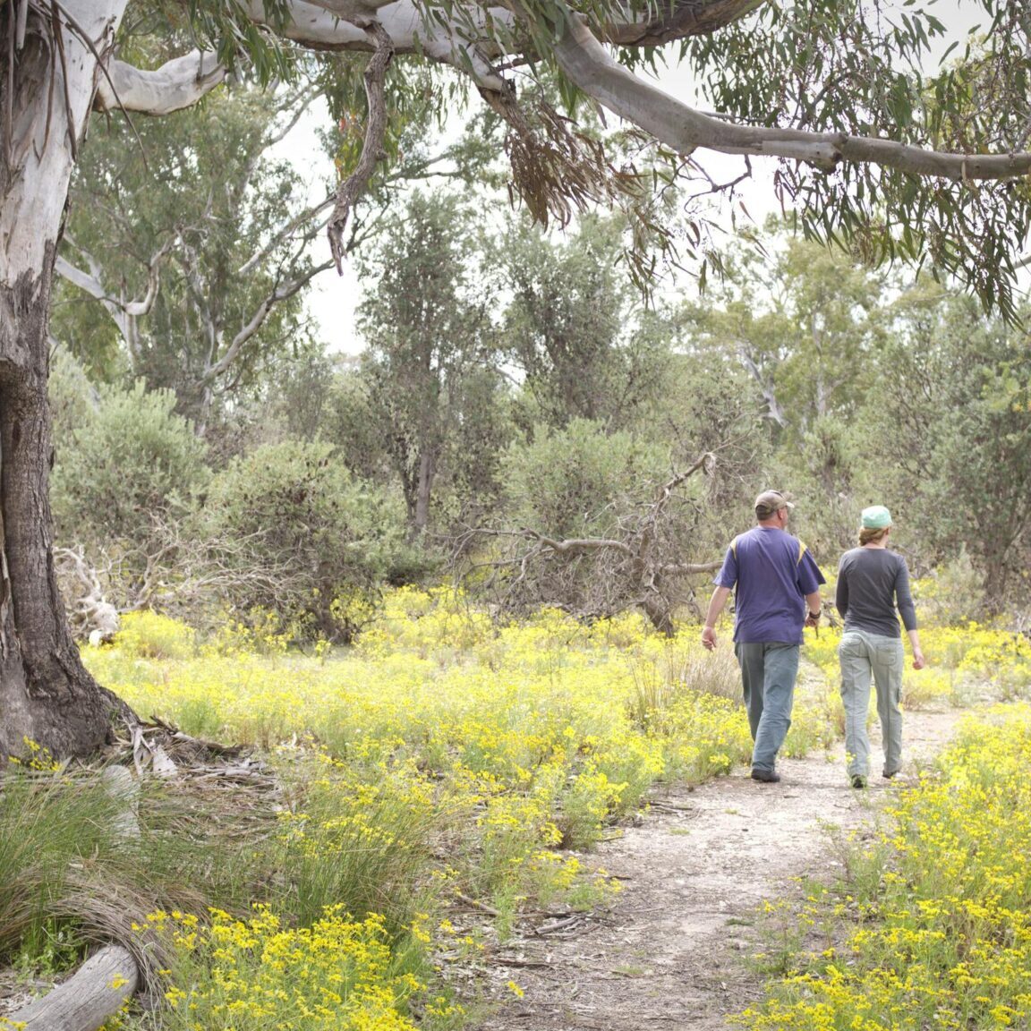 Little Desert National Park