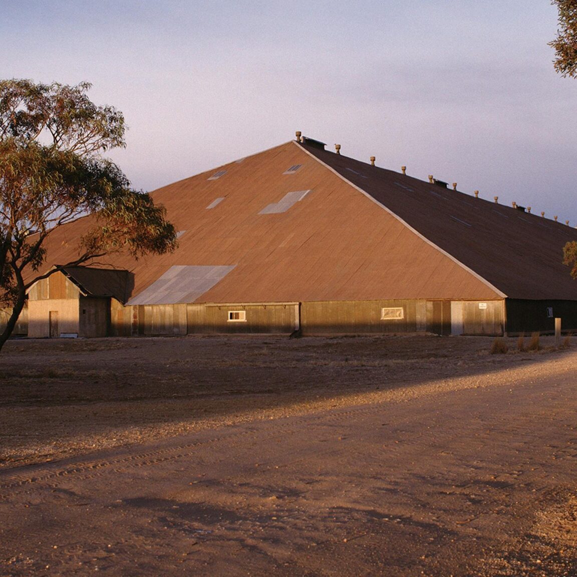 Exterior view of Shed