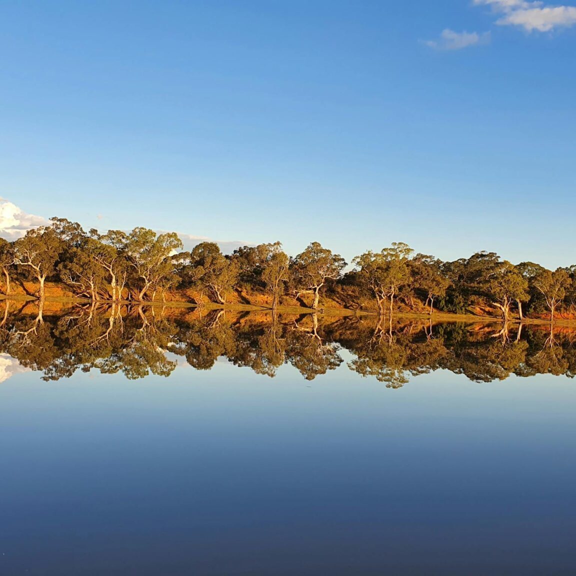 Lake Bringalbert