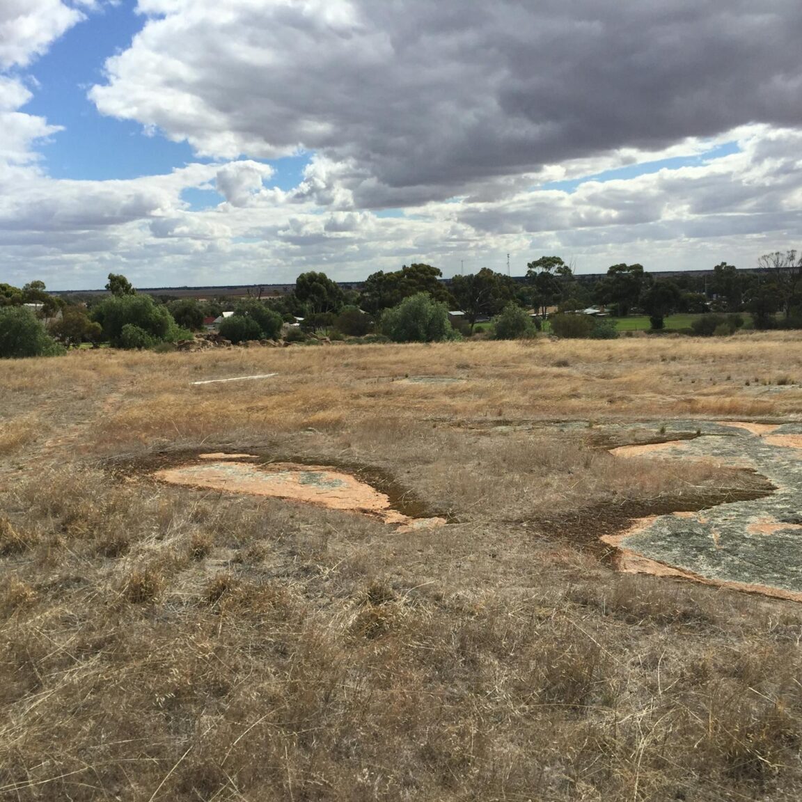 Northern slope Mt Wycheproof