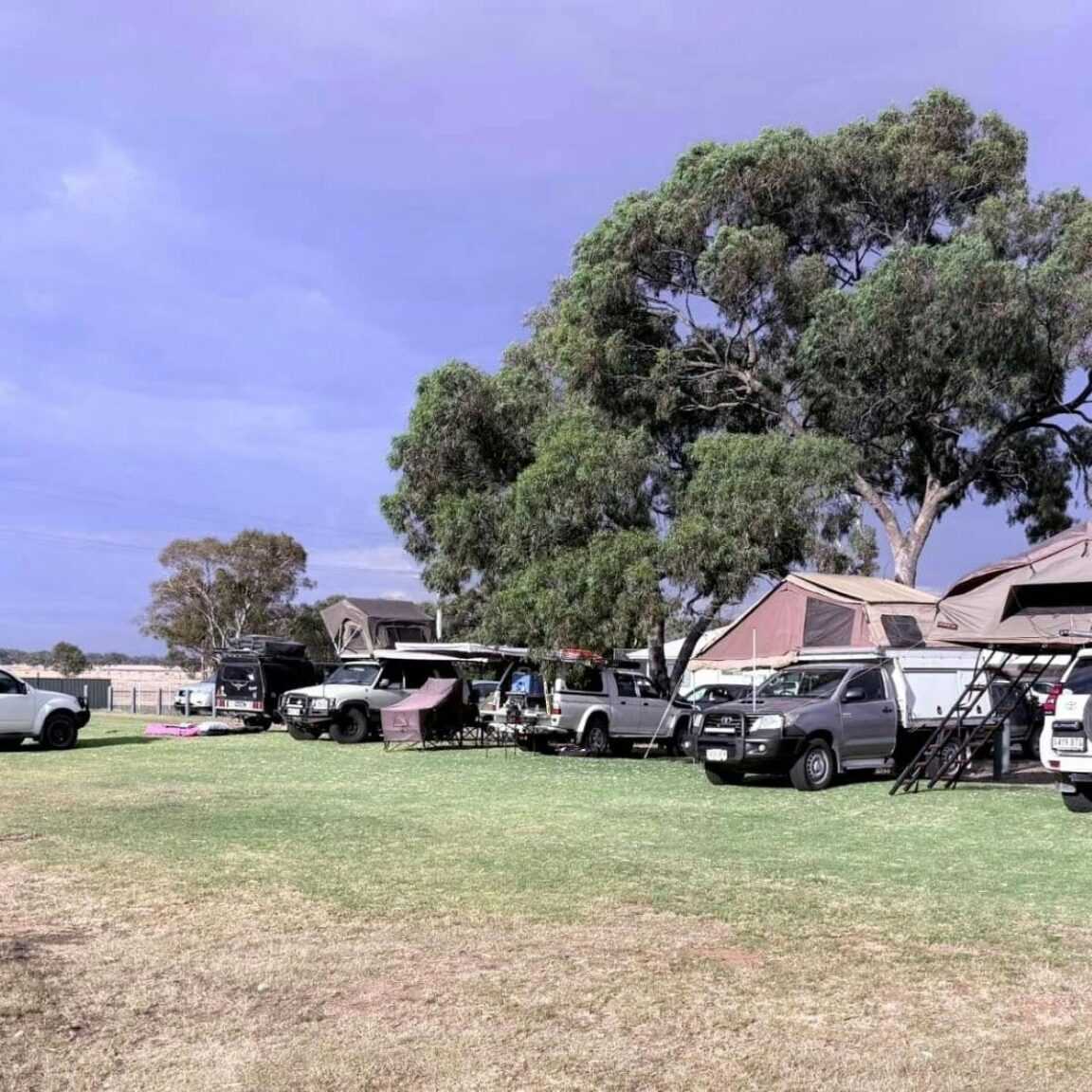 Line of vehicles with tents and caravans in a caravan park