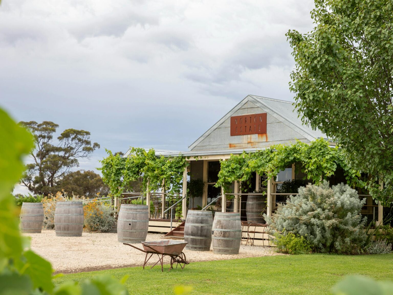 Cellar Door building with wine barrels standing on end