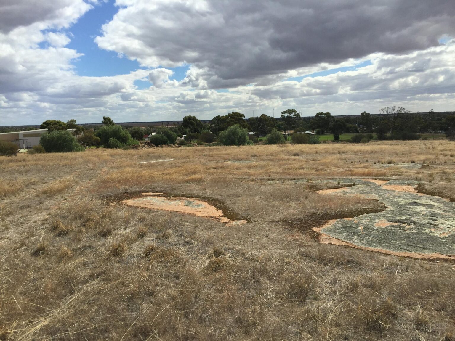 Northern slope Mt Wycheproof