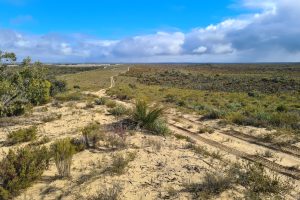 4WD track in the Wimmera Mallee Big Desert Wilderness park