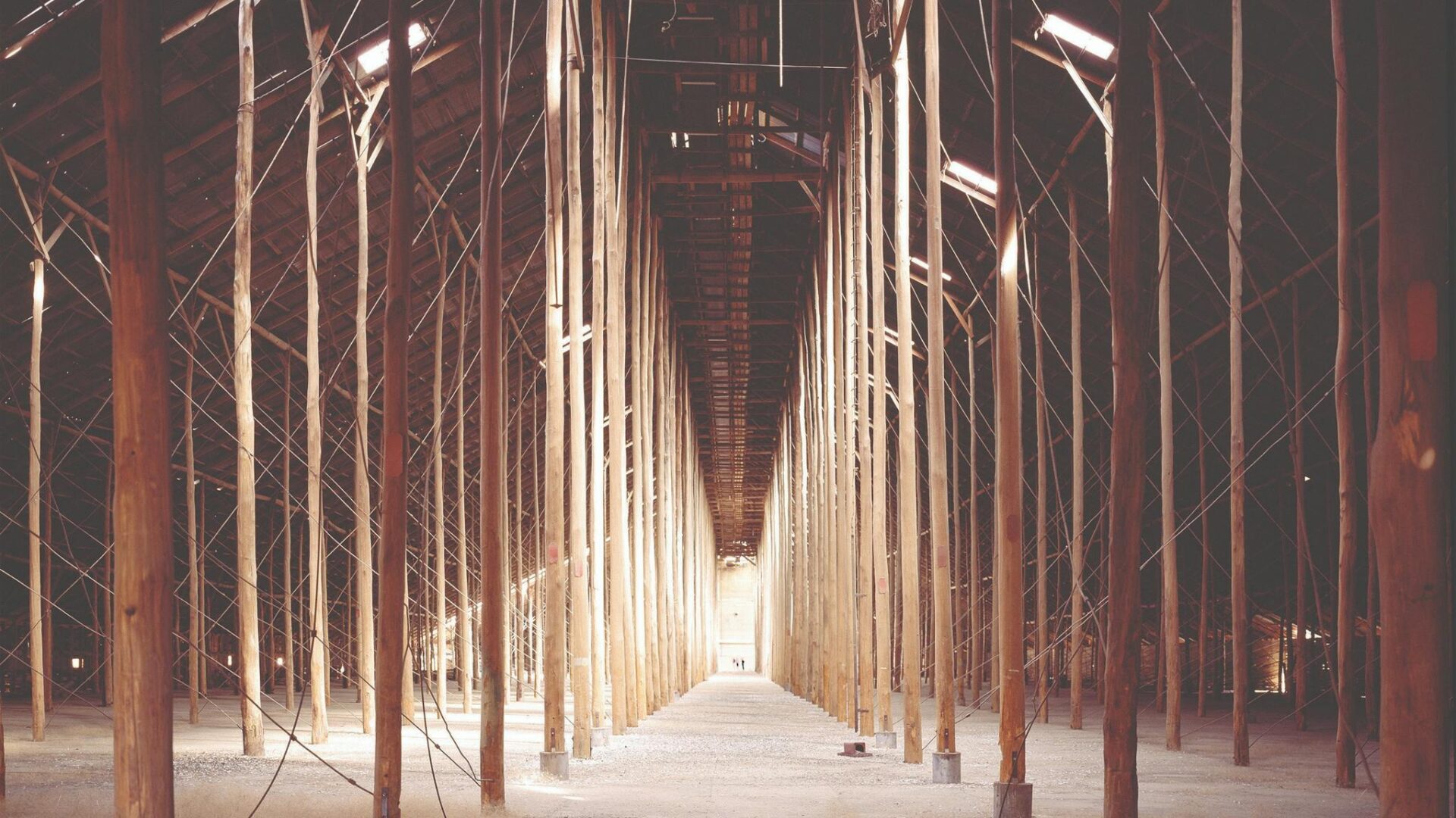 Interior of the Stick Shed