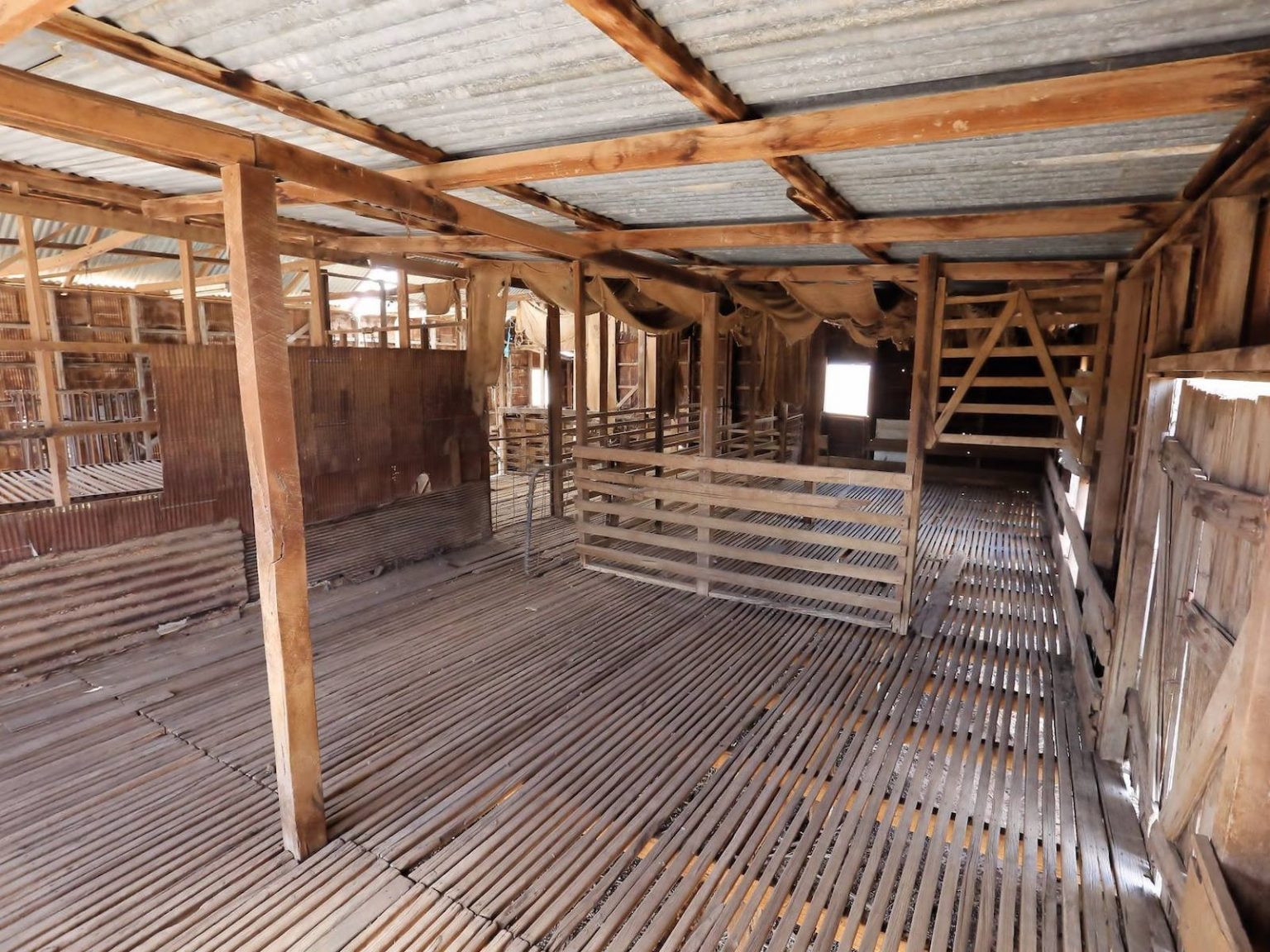 Inside the Shearing Shed