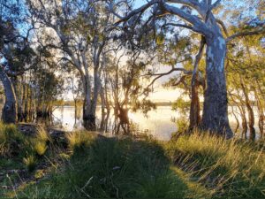Lake Newlands 1