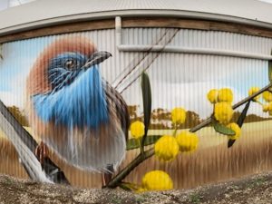 Detail of wren painted on corrugated iron shed wall