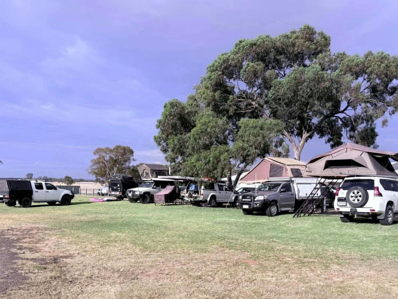 Line of vehicles with tents and caravans in a caravan park